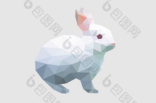 低多边形兔/兔