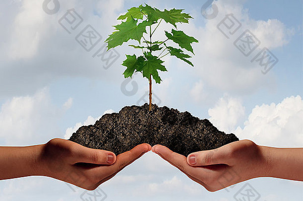 合作成长的商业象征，就像双手捧着一堆土，一棵树苗在成长。