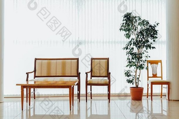 在一间带窗户的白色房间里，有椅子和植物的沙发