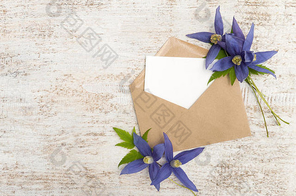 卡夫纸信封白色空白卡蓝色的铁线莲alpina花