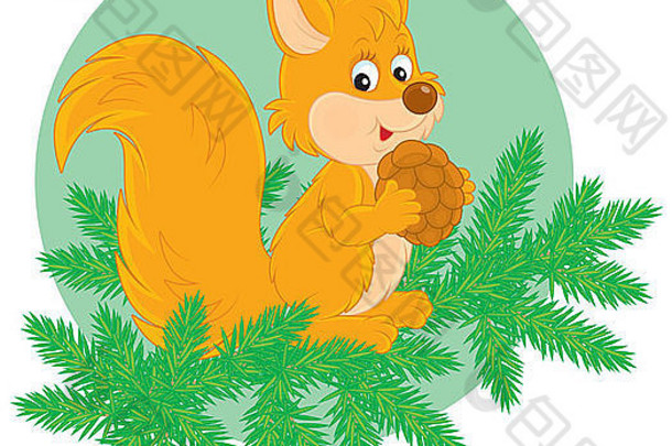 小松鼠坐在冷杉树枝上，手里拿着一个圆锥体