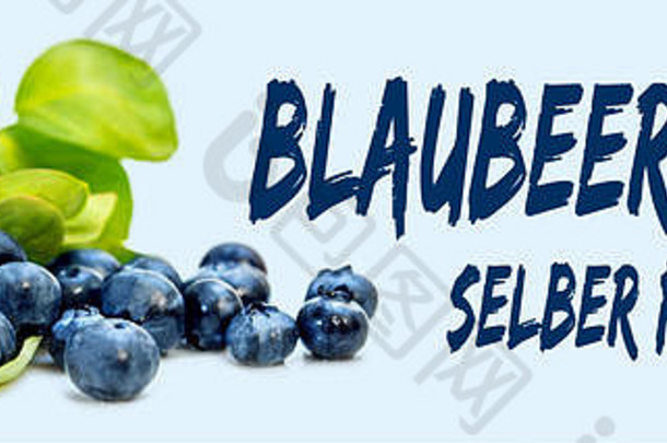 新鲜的蓝莓和叶子上有胚芽文字Blauberen selber pfluecken，意思是自己采摘青果