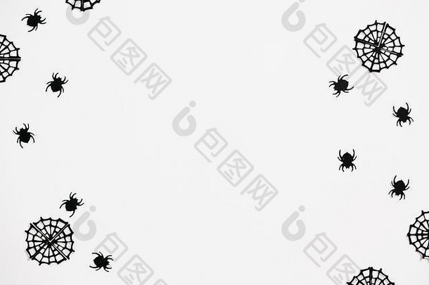 黑色的蜘蛛蜘蛛网络白色背景万圣节庆祝活动背景
