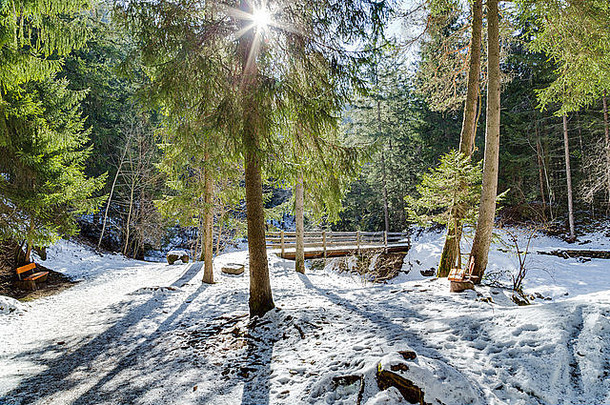雪走路径木桥森林绿色松树梳理冷杉白云石山脉冬天