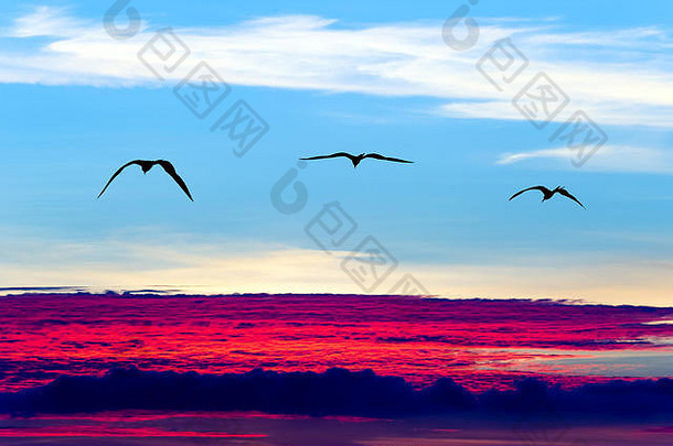 鸟儿飞翔的剪影是三只展翅飞翔的鸟儿，翱翔在超现实的空灵蓝天云景上。