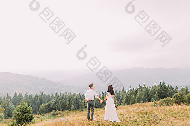 美丽的新婚夫妇手牵手在山顶上。后视图