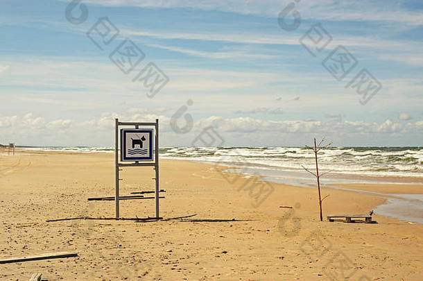 爱狗海滩。晴朗多风的一天。波涛汹涌的大海。