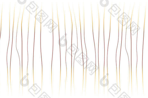 抽象无缝树木生长线自然图案纹理背景设计插图壁纸
