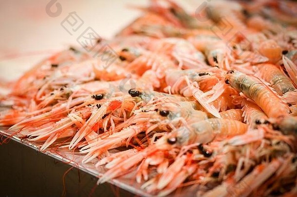 鱼市场内的新鲜混合海鲜-章鱼、贝壳、牡蛎、虾、鱿鱼、鱼