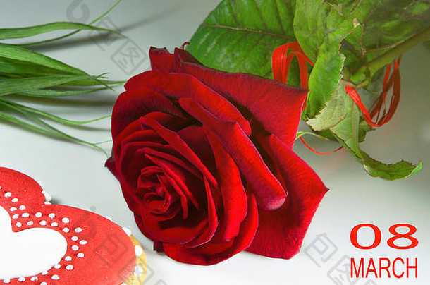 红色的玫瑰绿色叶红色的心白色背景礼物情人节天3月