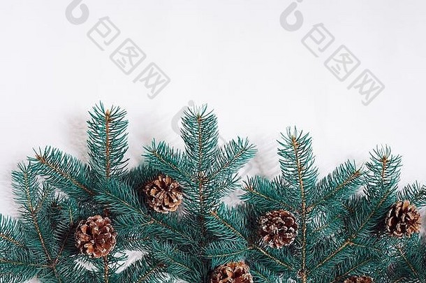 绿色圣诞冷杉树枝，球果孤立在白色背景上。