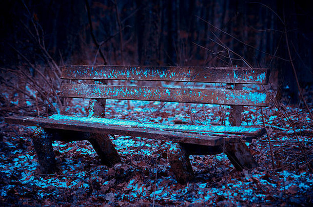 饱经风霜的雪板凳上森林
