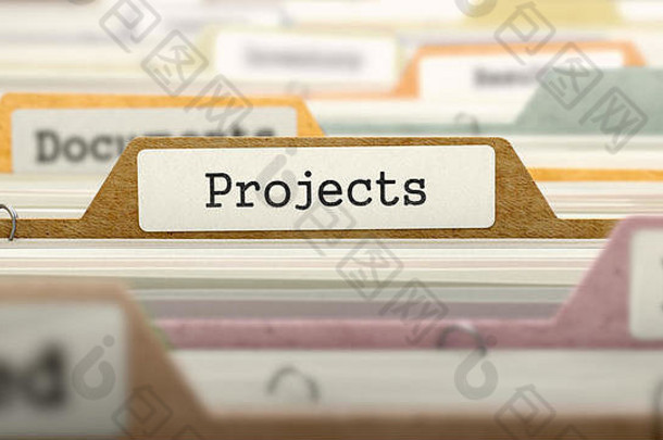 目录中标记为项目的文件夹。