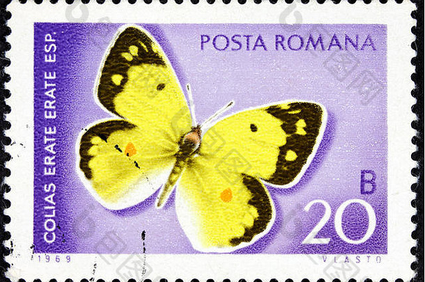 印有一只美丽<strong>的蝴蝶照片的</strong>罗马邮票印在纸上