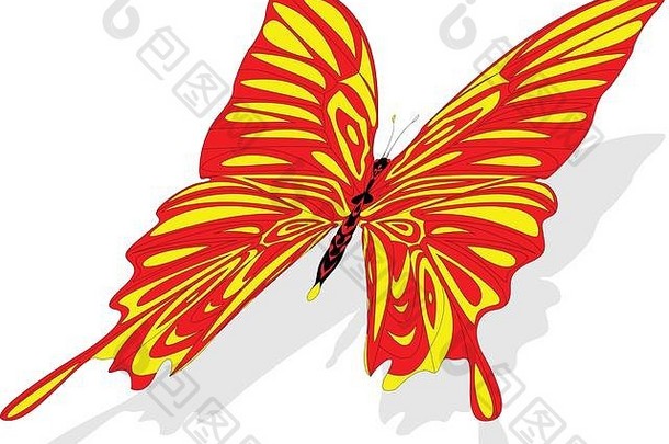 手绘蝴蝶图案，用于彩绘书、衬衫设计或纹身
