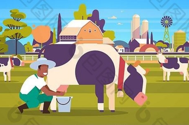 非洲美国农民挤奶牛桶农场国内动物牛新鲜的牛奶概念平水平农田精品农村景观完整的