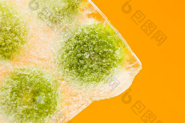 冷冻植物-绿色菊花冻结成一块冰