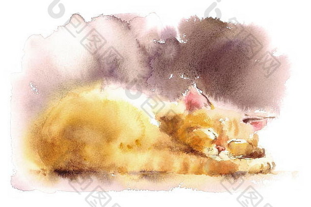 水彩猫小猫睡觉手画动物宠物肖像插图