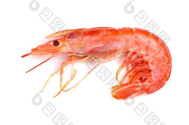 在白色背景上分离的红色熟虾或虾。顶视图。