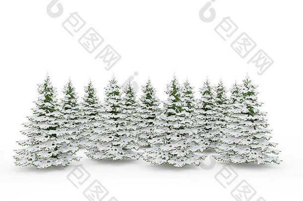 集团圣诞节松树覆盖雪孤立的白色背景