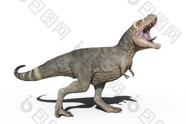 霸王龙恐龙、咆哮的霸王龙爬行动物、白色背景上隔离的史前侏罗纪动物、3D插图