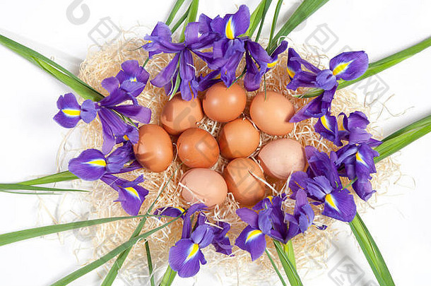 情人节、妇女节、母亲节、复活节的节日贺卡！花园里的木桌上放着野生的紫色鸢尾和一个装满复活节彩蛋的篮子