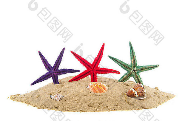 海滩沙子色彩斑斓的海星类孤立的白色