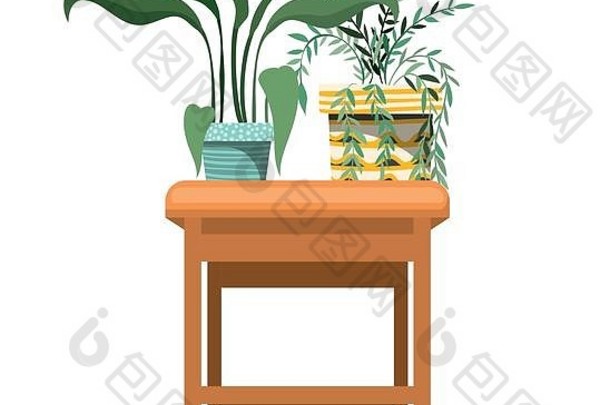 桌上有盆栽的室内植物