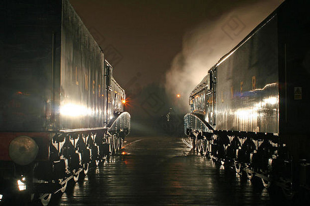 2014年2月，Mallard和盐卤并肩站在火车站Shildon的大型聚会上