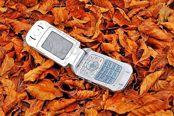 移动电话说谎下降叶子地毯