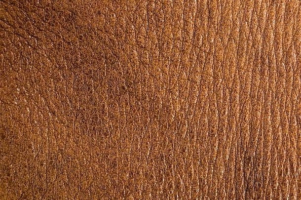 古董真正的软棕色（的）皮革纹理背景前层毛孔划痕宏特写镜头