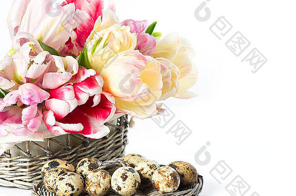 新鲜的春天郁金香篮子鹌鹑鸡蛋复活节装饰