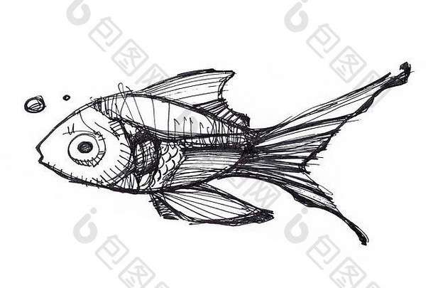 手绘的游泳鱼的插图或图画