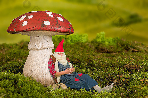 困了花园Gnome说谎仙女演讲羊肚菌