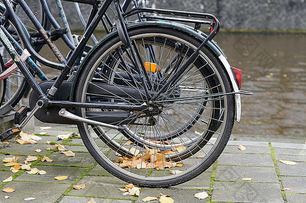 运河边的自行车轮子，阿姆斯特丹，荷兰，欧洲
