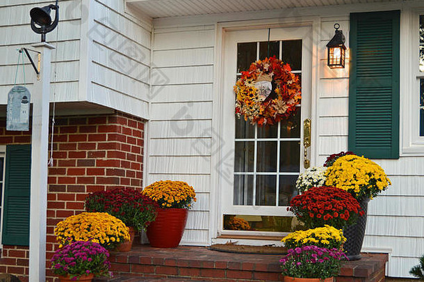 在美国马里兰州的帕萨迪纳，安妮·阿伦德尔县，五颜六色的秋天菊花在门廊上绽放。
