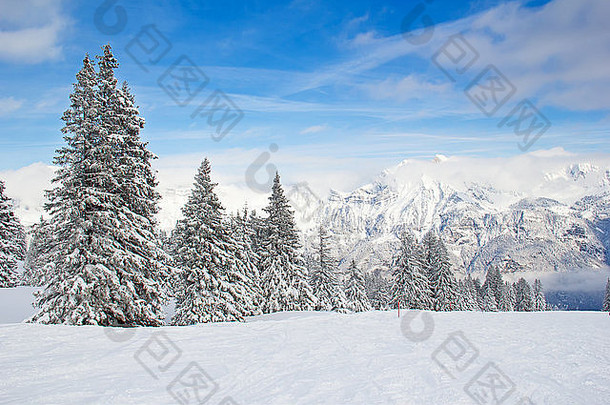 坡滑雪度假胜地弗伦瑟贝格瑞士