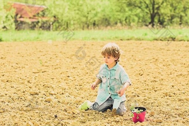 种植场助手花园男孩坐地面种植花场有趣的时间农场园艺概念<strong>孩子</strong>有趣的铲植物能种植幼苗