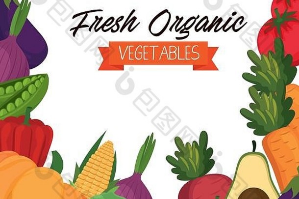 新鲜蔬菜有机健康食品