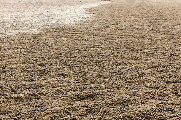 热带退潮时，由沙泡蟹制成的沙粒覆盖着海滩