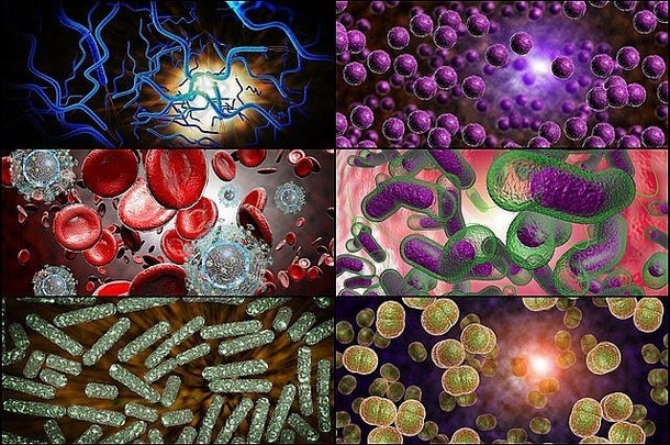 拼贴图像中各种细菌的3D显微镜特写
