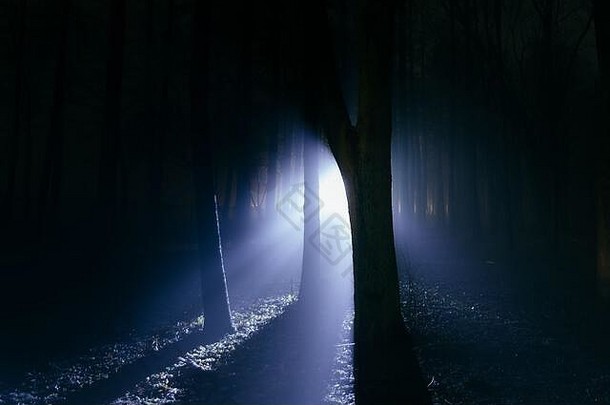 夜晚，黑暗而阴森的雾气弥漫的森林