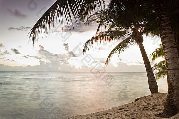 美丽的宁静的海滩太阳上升南部伯利兹