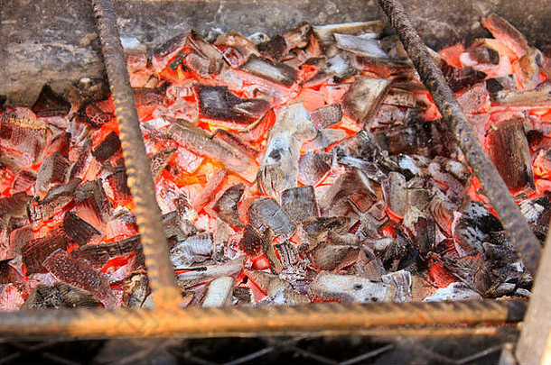 烧烤热煤烹饪肉