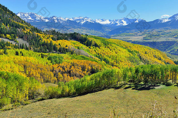 科罗拉多州最后一条一公路上的树木生长季节，山上长着五颜六色的黄色、绿色和红色的白杨