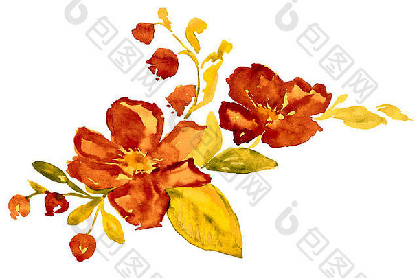 玫瑰果（野玫瑰）和带黄色小枝叶子的风铃草的花朵，现代风格的独立手绘水彩插图
