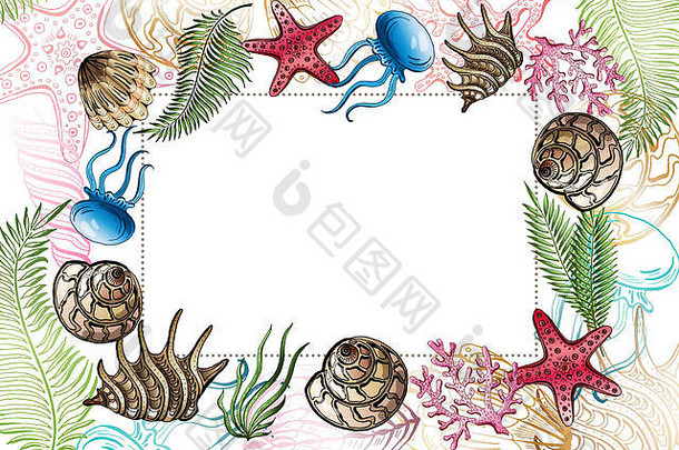 由贝壳、海星、水母组成。水下世界。海洋背景。