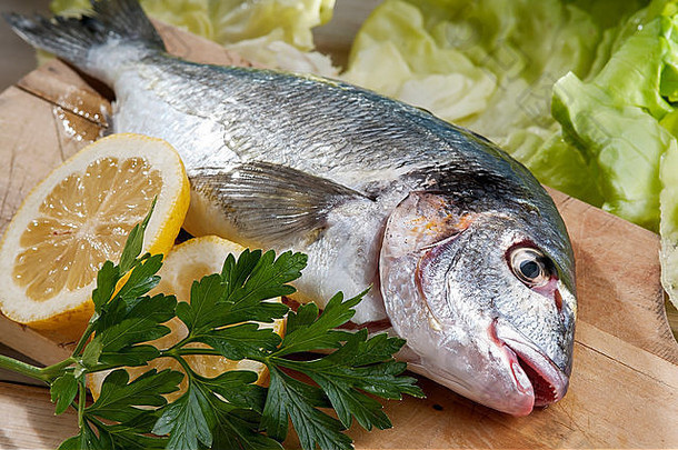 海鲤科鱼典型的地中海鱼今天养殖鱼