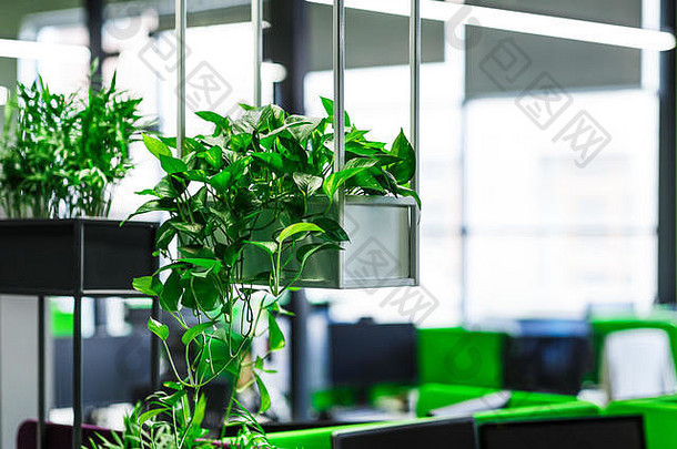 带有绿色植物的现代办公楼内部空旷