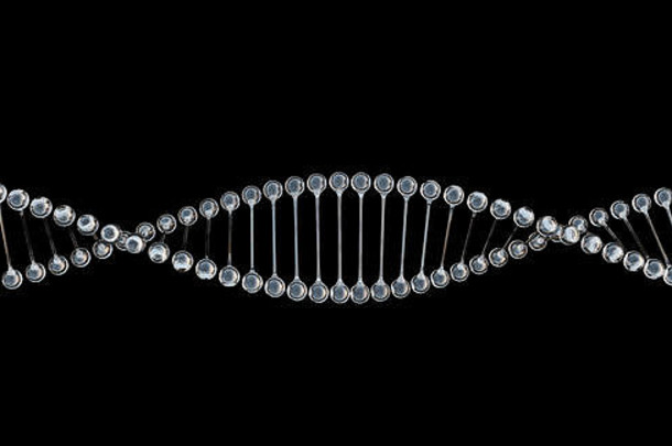 钻石状透明材料中的DNA链螺旋，在黑色背景下分离，基因工程概念，研究，3d渲染，3d插图